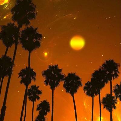 BOB体育综合下载平台