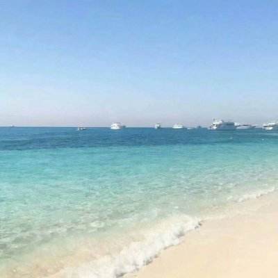 NG体育APP官方下载网址手机app下载