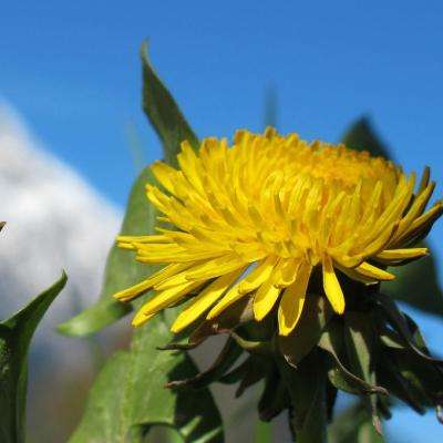 澳门太阳游戏城appapp下载