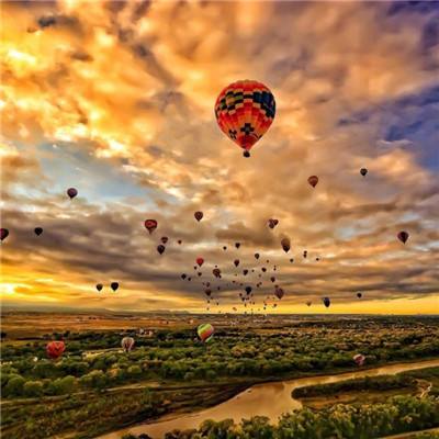 乐虎国际手机app下载