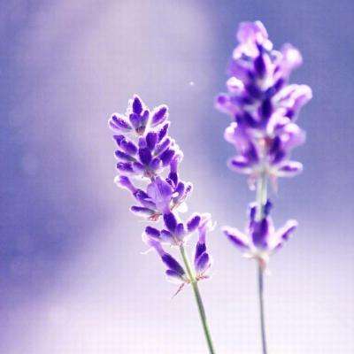 金博宝官网手机app下载