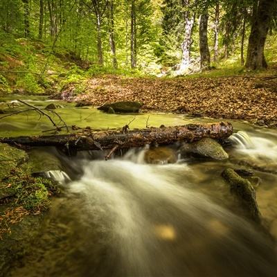 pg游戏官方网站